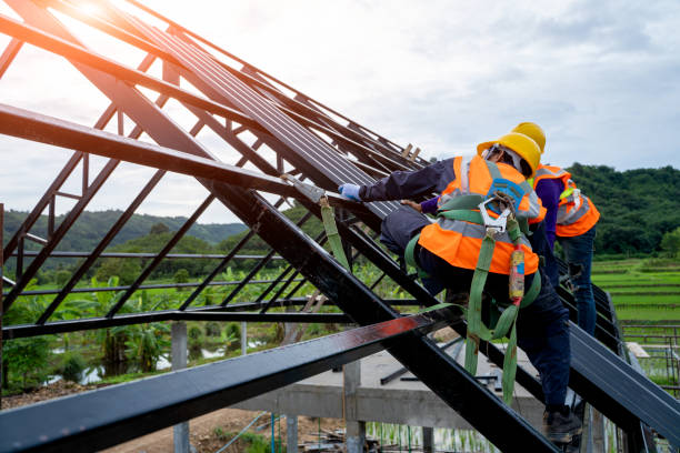 Best Tile Roofing Contractor  in Saint Johns University, MN