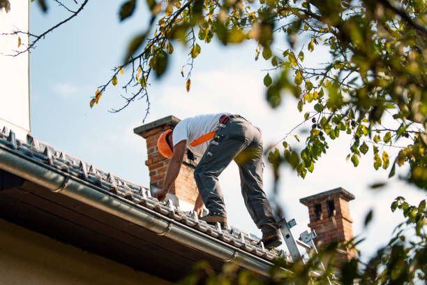 Best Best Roofing Contractors  in Saint Johns University, MN