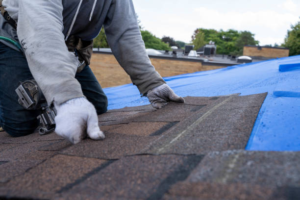 Best Residential Roofing Contractor  in Saint Johns University, MN
