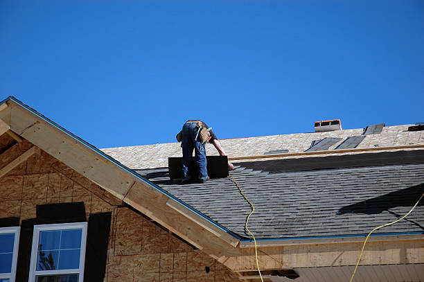 Best Storm Damage Roof Repair  in Saint Johns University, MN