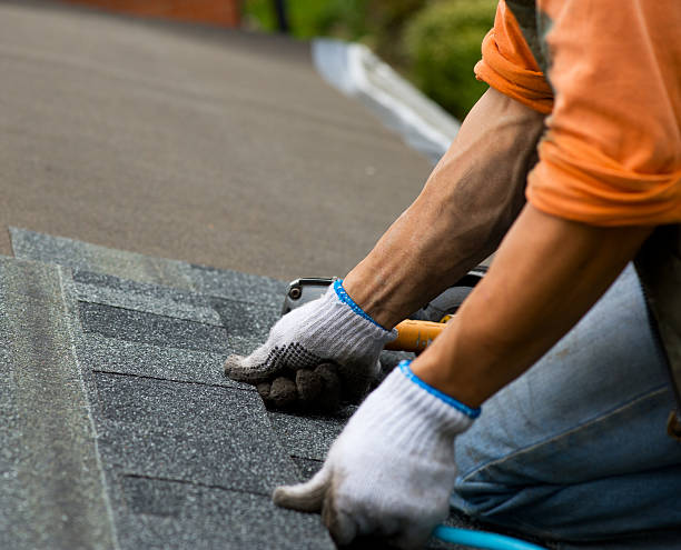 Best Roof Gutter Cleaning  in Saint Johns University, MN