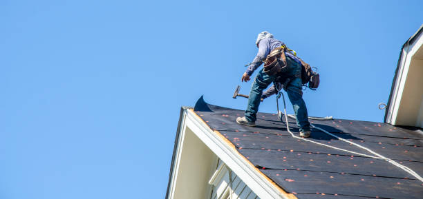 Professional Roofing Contractor in Saint Johns University, MN
